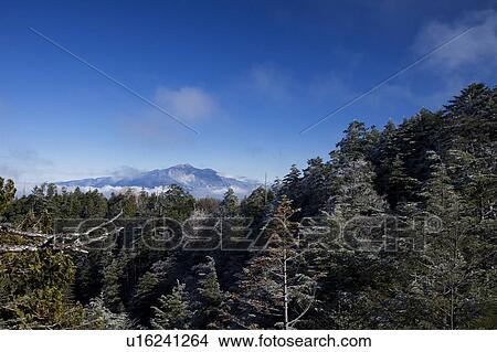 Mt. Mitake, Gifu Prefecture, Honshu, Japan View Large Photo Image Picture - Mt. Mitake, Gifu Prefecture, Honshu, Japan. Fotosearch