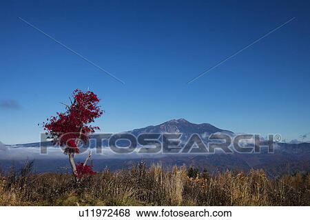 Stock Photo - Mt. Mitake, Gifu Prefecture, Honshu, Japan. Fotosearch
