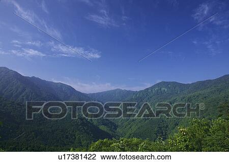 Stock Image - Mt. Mukaishirakami, Shirakami Mountain Range, Aomori Prefecture, Honshu, Japan. Fotosearch