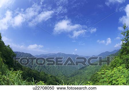 Stock Image - Mt. Mukaishirakami, Shirakami Mountain Range, Aomori Prefecture, Honshu, Japan. Fotosearch