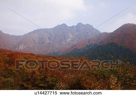 Stock Photography - Mt. Torigayama, Tottori Prefecture, Honshu, Japan . Fotosearch