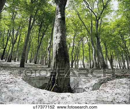 Nabekura highlands View Large Photo Image Stock Image - Nabekura highlands. Fotosearch