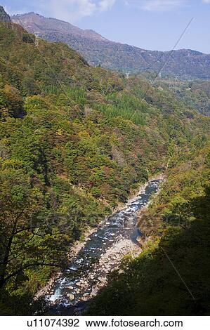 Stock Image - Nakatsu River, Nagano Prefecture, Honshu, Japan. Fotosearch
