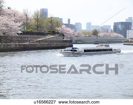 Stock Photo - Nautical vessel and cherry blossoms, Osaka Prefecture, Honshu, Japan. Fotosearch