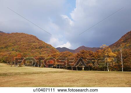 Okudaisen, Tottori Prefecture, Honshu, Japan View Large Photo Image Stock Image - Okudaisen, Tottori Prefecture, Honshu, Japan. Fotosearch
