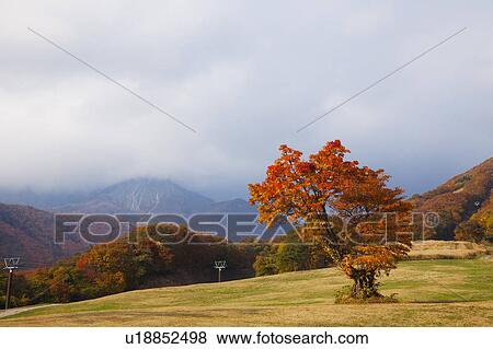 Okudaisen, Tottori Prefecture, Honshu, Japan View Large Photo Image Stock Photo - Okudaisen, Tottori Prefecture, Honshu, Japan. Fotosearch