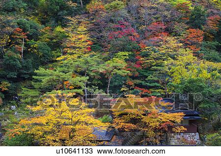 Stock Image - Okutsu gorge, Okayama Prefecture, Honshu, Japan. Fotosearch