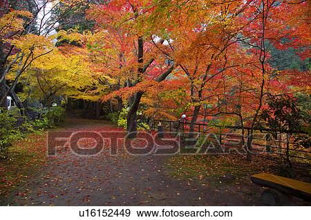 Stock Photo - Okutsu gorge, Okayama Prefecture, Honshu, Japan. Fotosearch