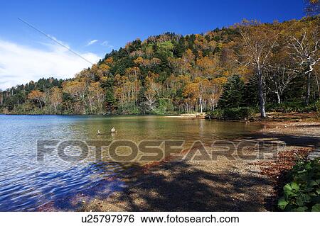 Stock Photograph - Onuma lake and Mt. Urashiga, Nagano Prefecture, Honshu, Japan. Fotosearch