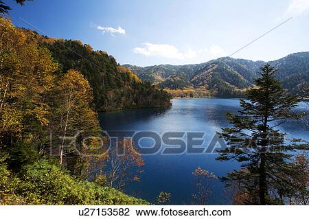 Stock Image - Onuma lake, Nagano Prefecture, Honshu, Japan. Fotosearch