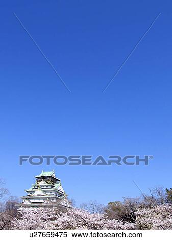 Stock Photography - Osaka castle and cherry blossoms, Osaka Prefecture, Honshu, Japan. Fotosearch
