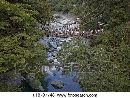 Stock Photo - People Crossing Kazura Vine Suspension Bridge. Fotosearch