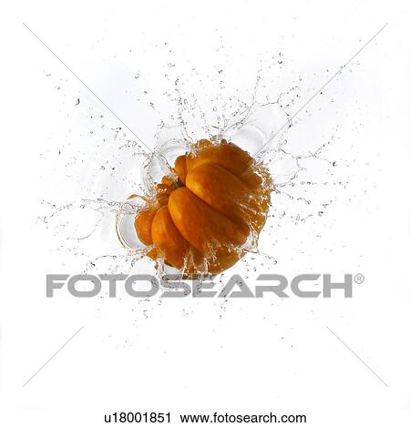 Pumpkin Splashing Into Water View Large Photo Image Stock Image - Pumpkin Splashing Into Water. Fotosearch
