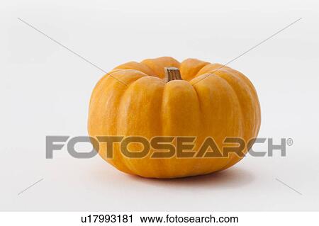 Pumpkin View Large Photo Image Stock Image - Pumpkin. Fotosearch
