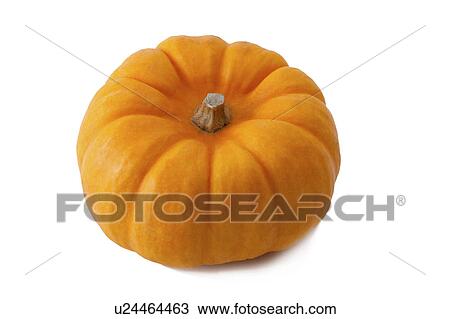 Stock Image - Pumpkin. Fotosearch