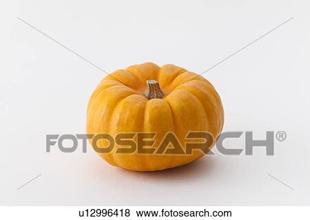 Pumpkin View Large Photo Image Stock Photo - Pumpkin. Fotosearch
