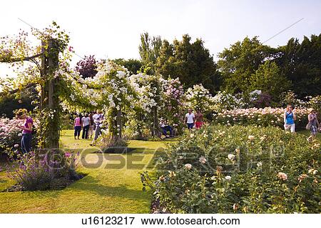 Stock Photo - Queen Mary Rose Garden. Fotosearch