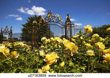 Stock Photo - Queen Mary Rose Garden. Fotosearch