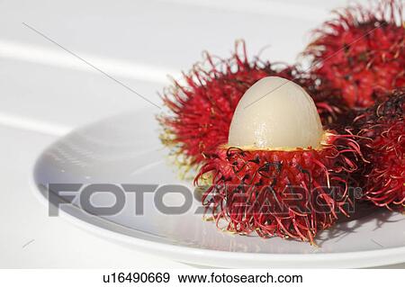 Rambutan View Large Photo Image Stock Photo - Rambutan. Fotosearch
