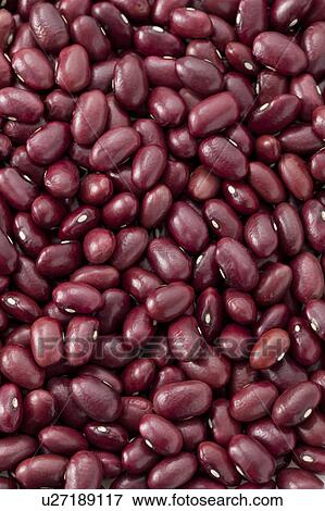 Red beans View Large Photo Image Stock Photo - Red beans. Fotosearch