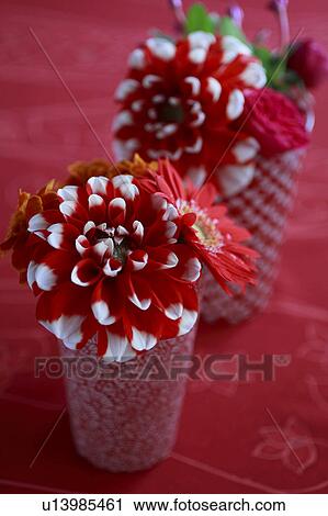 Red Flowers in Red Vase Placed on Red Cloth View Large Photo Image Stock Image - Red Flowers in Red Vase Placed on Red Cloth. Fotosearch
