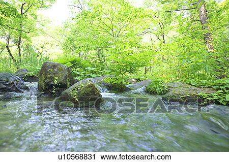 Stock Image - River at Goshiki (five color) pond, Fukushima Prefecture, Honshu, Japan. Fotosearch