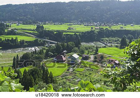 Rural Scene in Niigata Prefecture, Japan View Large Photo Image Stock Photo - Rural Scene in Niigata Prefecture, Japan. Fotosearch