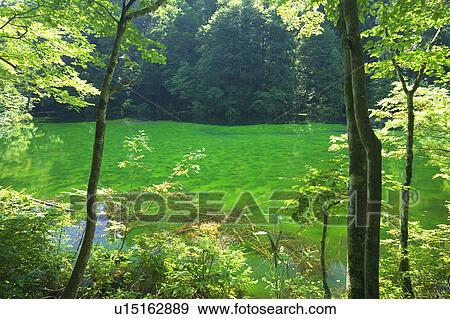 Stock Photo - Ryugakubo pond, Niigata Prefecture, Honshu, Japan. Fotosearch