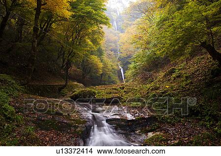 Picture - Saruo waterfall, Hyogo Prefecture, Honshu, Japan. Fotosearch