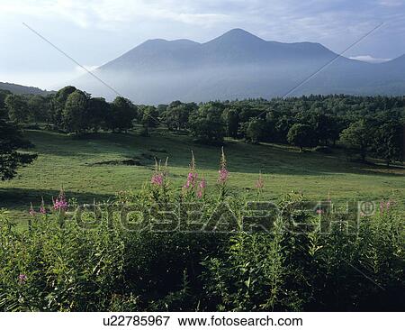 Sasagamine farm View Large Photo Image Stock Photo - Sasagamine farm. Fotosearch