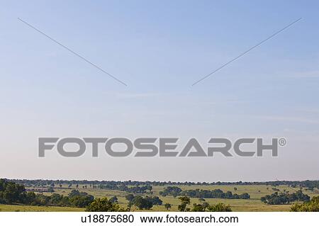 Stock Image - Savannah. Fotosearch