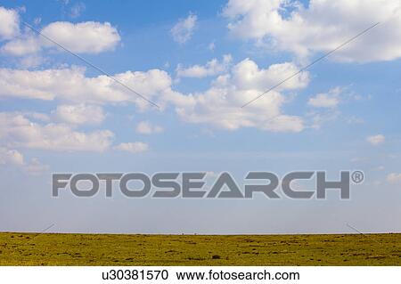 Stock Image - Savannah. Fotosearch