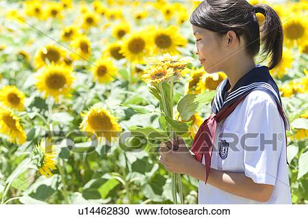 Stock Image - Schoolgirl Holding Bunch of Sunflowers in Sunflower Field. Fotosearch