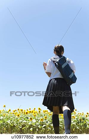 Stock Image - Schoolgirl in Sunflower Field. Fotosearch