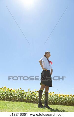 Schoolgirl in Sunflower Field View Large Photo Image Stock Image - Schoolgirl in Sunflower Field. Fotosearch