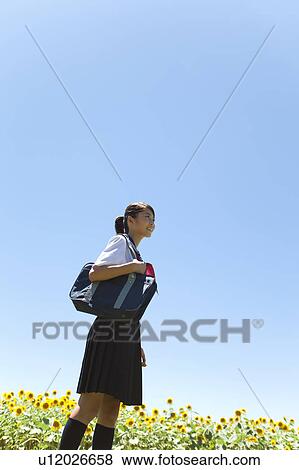 Stock Photo - Schoolgirl in Sunflower Field. Fotosearch