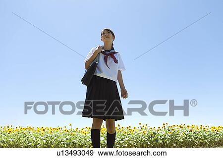 Schoolgirl in Sunflower Field View Large Photo Image Stock Photo - Schoolgirl in Sunflower Field. Fotosearch