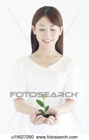 Seedling in Woman's Hands View Large Photo Image Stock Image - Seedling in Woman's Hands. Fotosearch