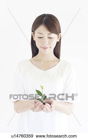 Seedling in Woman's Hands View Large Photo Image Stock Photo - Seedling in Woman's Hands. Fotosearch