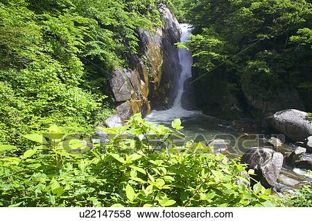 Senga waterfall, Yamanashi Prefecture, Honshu, Japan View Large Photo Image Stock Photo - Senga waterfall, Yamanashi Prefecture, Honshu, Japan. Fotosearch