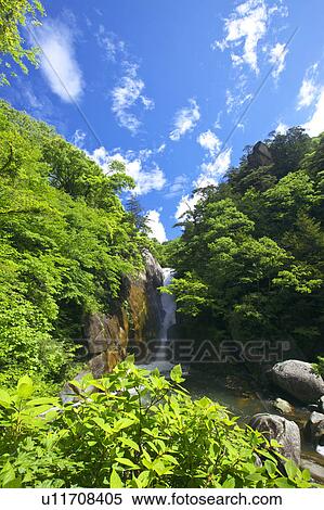 Senga waterfall, Yamanashi Prefecture, Honshu, Japan View Large Photo Image Stock Photography - Senga waterfall, Yamanashi Prefecture, Honshu, Japan. Fotosearch