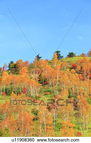 Shiga Plateau View Large Photo Image Stock Image - Shiga Plateau. Fotosearch