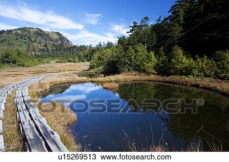 Shijuhachiike Marshland and Mt. Shiga, Nagano Prefecture, Honshu, Japan View Large Photo Image Stock Image - Shijuhachiike Marshland and Mt. Shiga, Nagano Prefecture, Honshu, Japan. Fotosearch
