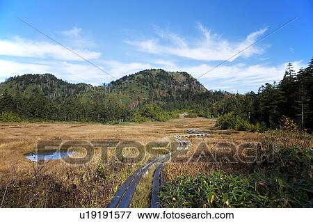 Stock Photo - Shijuhachiike Marshland and Mt. Shiga, Nagano Prefecture, Honshu, Japan. Fotosearch