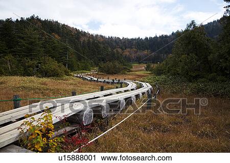 Stock Image - Shijuhachiike Marshland, Nagano Prefecture, Honshu, Japan. Fotosearch