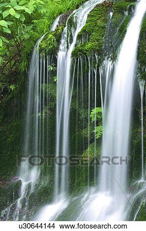 Picture - Shiramizu-no-taki Waterfall, Gunma Prefecture, Honshu, Japan. Fotosearch