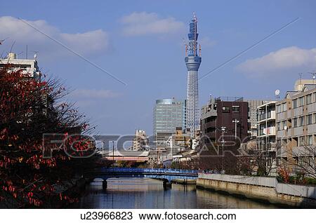 Skytree Tower Seen From Image Bridge View Large Photo Image Stock Image - Skytree Tower Seen From Image Bridge. Fotosearch