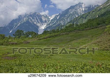 Snowy Valley of Hakuba Mountain Range View Large Photo Image Stock Photo - Snowy Valley of Hakuba Mountain Range. Fotosearch