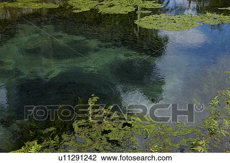 Stock Image - Spring at Tirta Empul Temple, Bali, Indonesia. Fotosearch