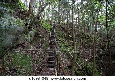 Staircase at Kakizoe gorge, Nagano Prefecture, Honshu, Japan View Large Photo Image Stock Photo - Staircase at Kakizoe gorge, Nagano Prefecture, Honshu, Japan. Fotosearch